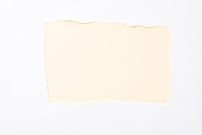 pastel beige colorful background in white torn paper hole