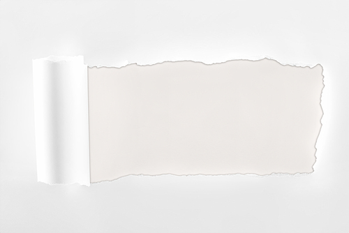 ripped textured white paper with rolled edge on white background