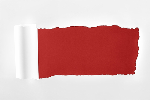 ragged textured white paper with rolled edge on burgundy background
