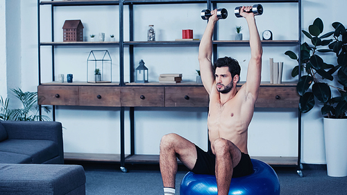 young sportsman holding heavy dumbbells above head and sitting on fitness ball at home