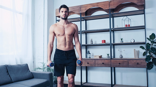 muscular man in shorts training with heavy dumbbells near sofa