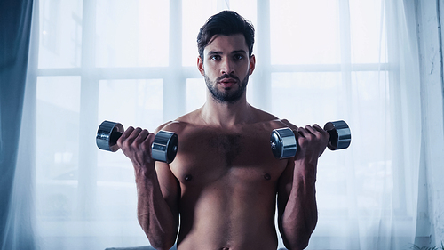 muscular man training with heavy dumbbells