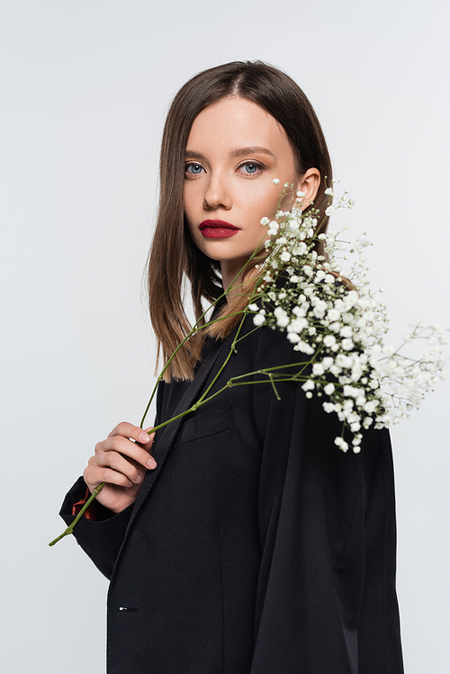 seductive brunette woman in black blazer  while holding branch of gypsophila isolated on grey