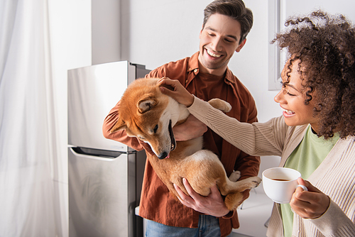 african american woman with coffee cup stroking shiba inu dog in hands of happy boyfriend