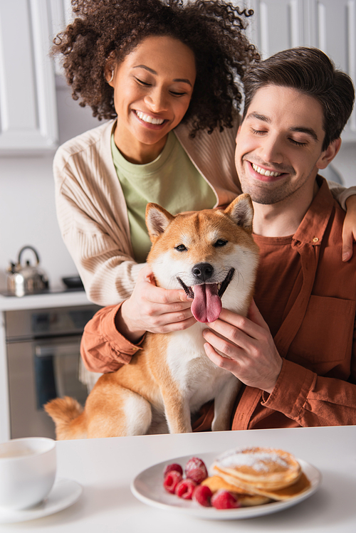 funny shiba inu dog sticking out tongue near happy interracial couple in kitchen