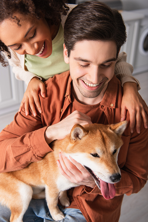 funny shiba inu dog sticking out tongue near happy interracial couple having fun in kitchen