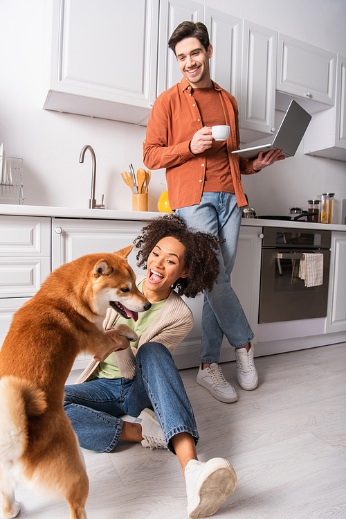 African american woman playing with shiba inu near boyfriend with laptop and coffee in kitchen