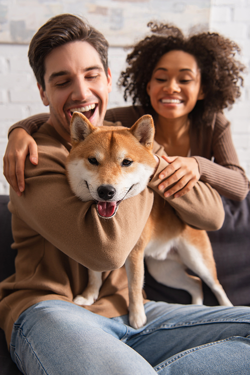 Blurred interracial couple petting shiba inu dog at home