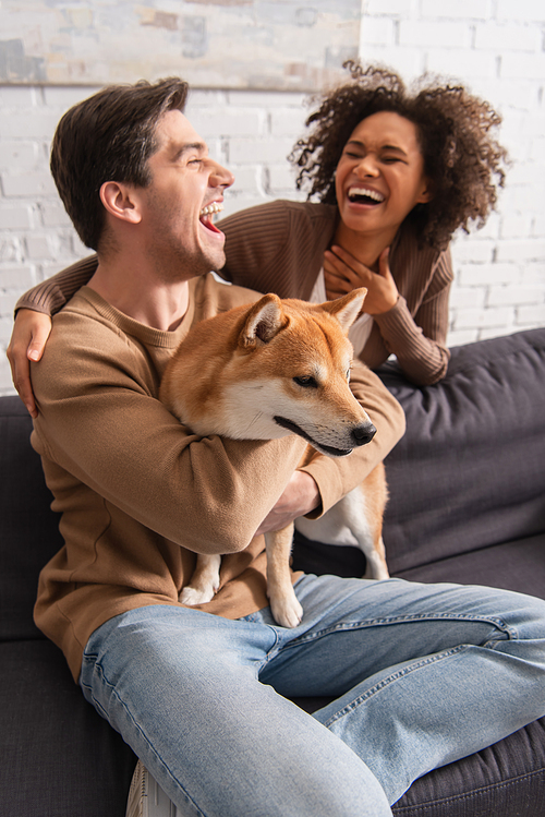 Excited man hugging shiba inu dog near african american girlfriend in living room