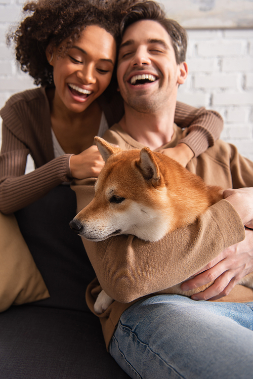 Blurred man hugging shiba inu dog near african american girlfriend at home