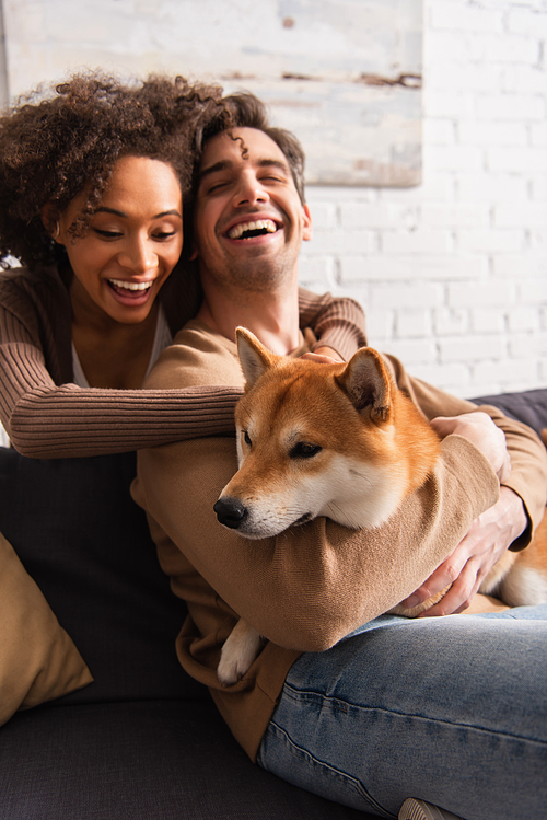 Smiling african american woman petting shiba inu dog near boyfriend on couch at home