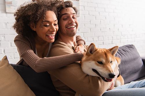 Positive african american woman hugging boyfriend and petting shiba inu dog at home