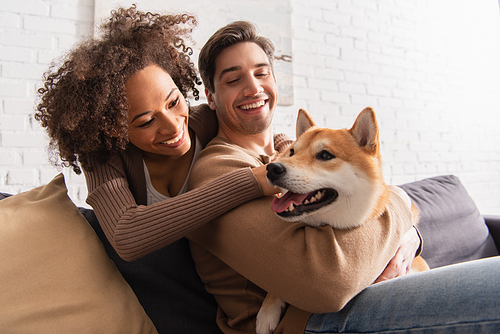 Smiling african american woman looking at shiba inu while hugging boyfriend in living room