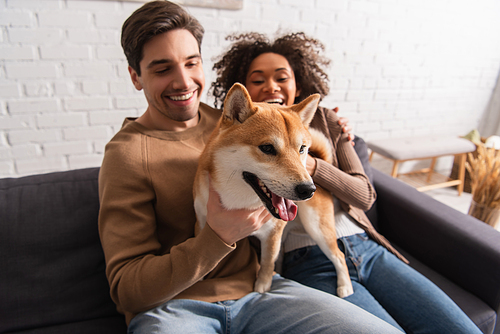 Blurred interracial couple holding shiba inu on couch at home