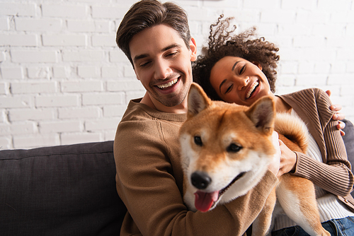 Smiling man petting blurred shiba inu dog near african american girlfriend on couch