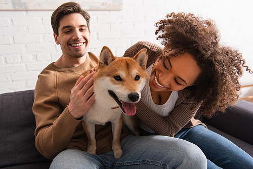 Smiling african american woman petting shiba inu near boyfriend on couch at home
