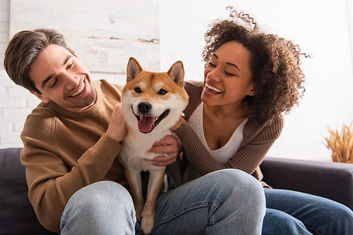 Positive african american woman looking at shiba inu near boyfriend on couch at home