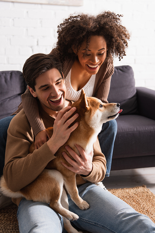 Cheerful multiethnic couple petting shiba inu near couch in living room