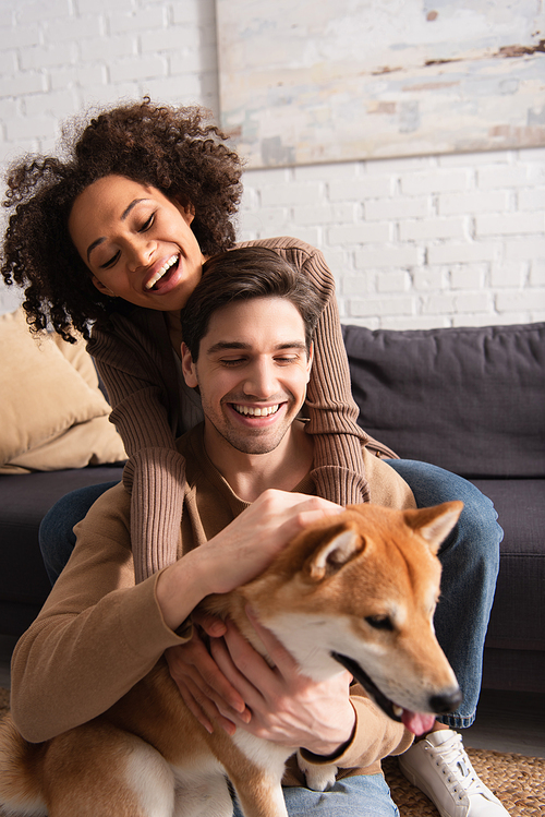 Positive multiethnic couple petting blurred shiba inu near couch at home