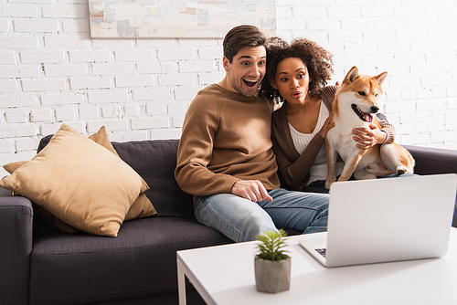 Excited interracial couple with shiba inu looking at laptop on coffee table at home