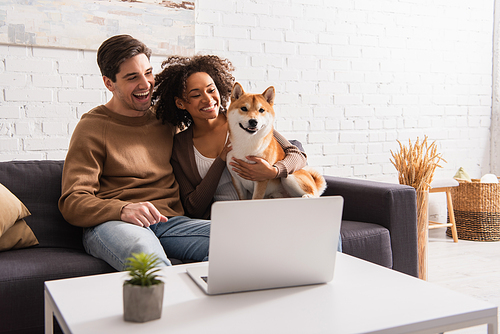 Positive interracial couple looking at shiba inu near laptop in living room