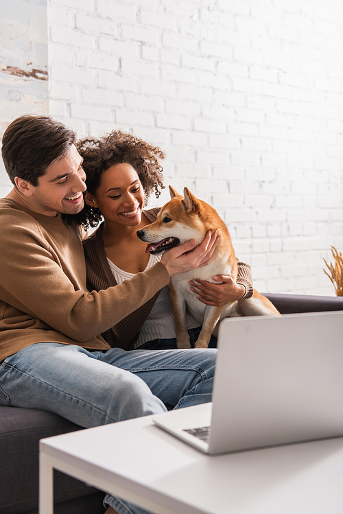 Smiling man touching shiba inu near african american girlfriend on couch and laptop in living room