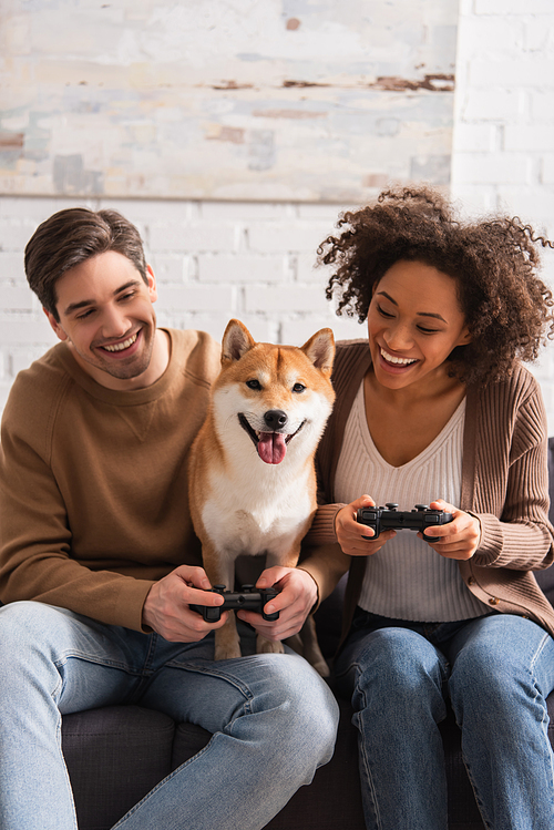 KYIV, UKRAINE - DECEMBER 22, 2021: Positive interracial couple playing video game and looking at shiba inu at home