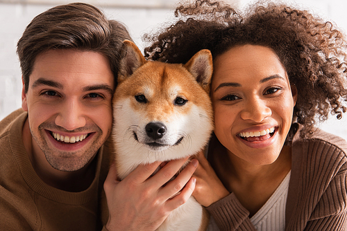 Smiling interracial couple  and petting shiba inu at home