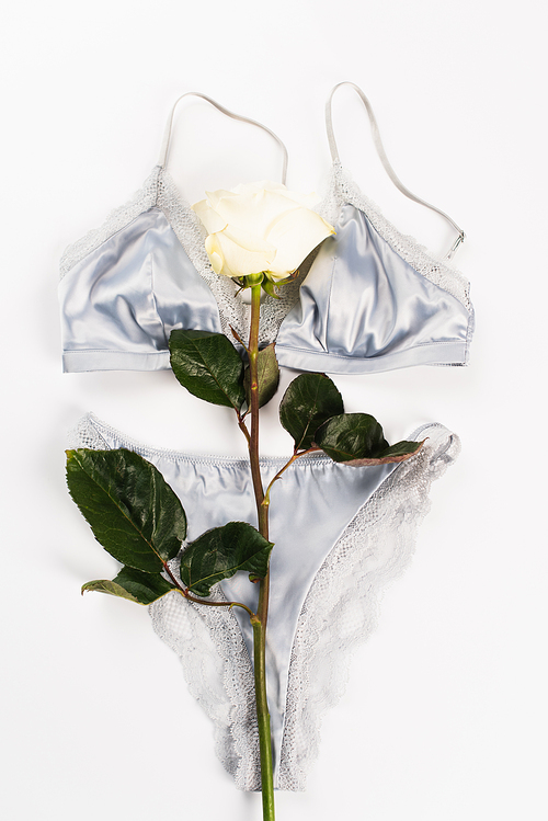Top view of rose flower on lingerie on white background