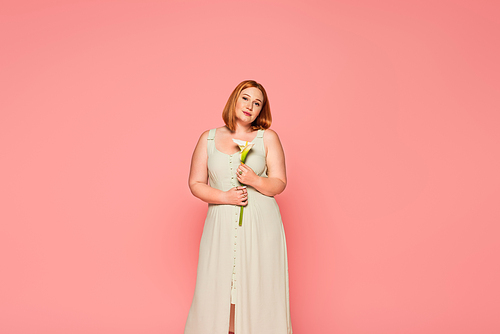 Pretty plus size woman holding calla lily isolated on pink