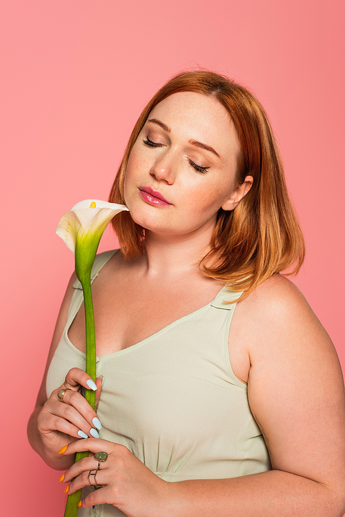 Young plus size woman with closed eyes holding calla lily isolated on pink
