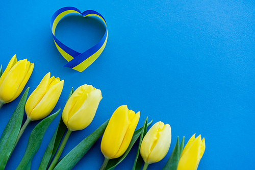 Top view of blue and yellow ribbon in heart sign near tulips on background