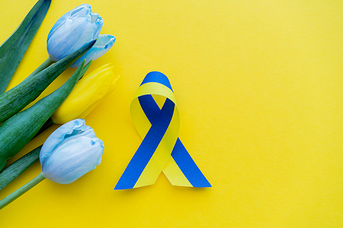 Top view of flowers near blue and yellow ribbon on background with copy space