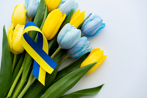 Top view of blue and yellow ribbon on bouquet of tulips on white background