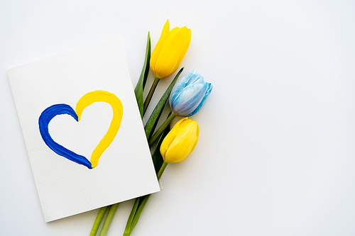 Top view of card with painted heart sign near blue and yellow tulips on white background