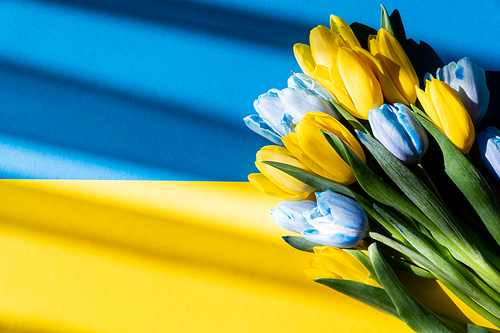 Top view of bouquet of blue and yellow tulips on ukrainian flag with shadow