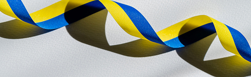 Top view of curly blue and yellow ribbon on white background, banner