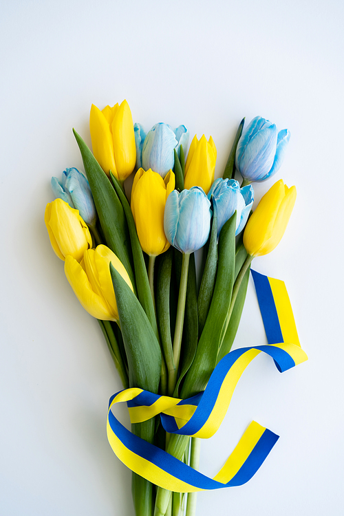 Top view of bouquet of tulips with blue and yellow ribbon on white background