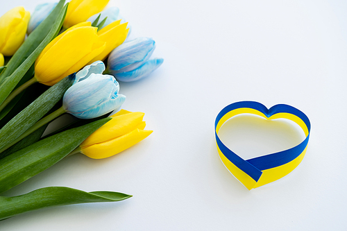 Blue and yellow ribbon in heart shape near flowers on white background