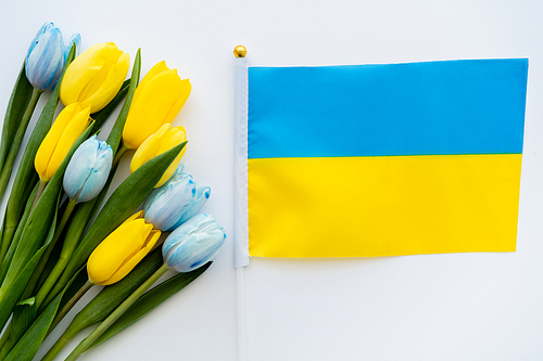 Top view of ukrainian flag near flowers on white background