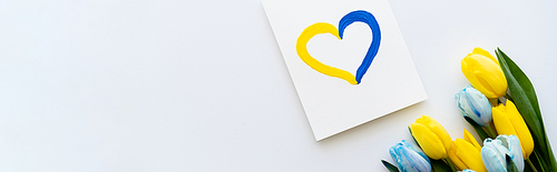 Top view of blue and yellow flowers near card with painted heart sign on white background, banner