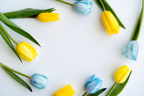 Top view of frame from blue and yellow flowers on white background