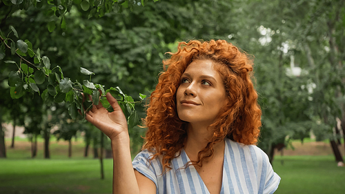 pleased redhead woman touching green leaves on tree