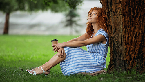 joyful redhead woman in blue dress sitting under tree trunk and holding coffee to go