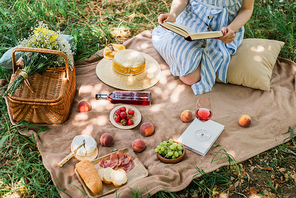 Cropped view of young woman holding book during picnic with wine and food in park