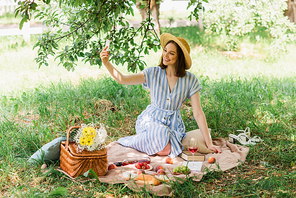 Cheerful woman taking selfie on smartphone during picnic in park