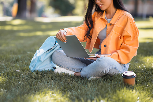 cropped view of smiling student using laptop near backpack on lawn in park