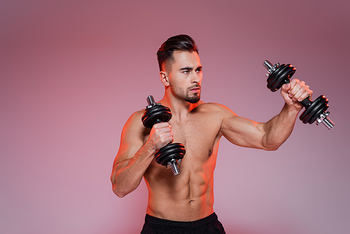 strong sportsman boxing with dumbbells on pink and grey