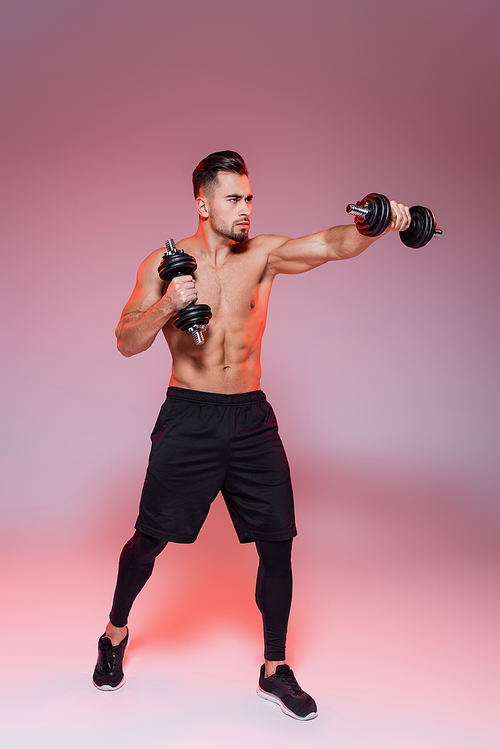 full length of shirtless sportsman boxing with dumbbells on pink and grey