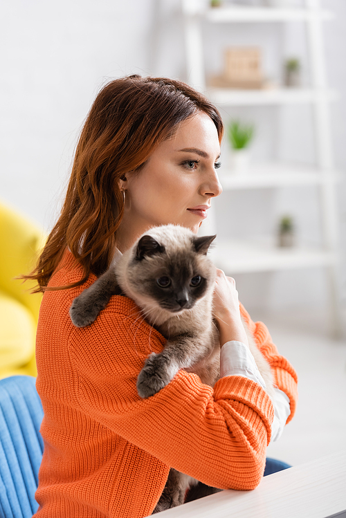 pretty young woman holding furry cat at home